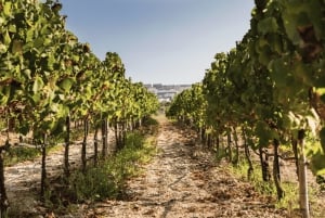 Gozo Gourmet-Erlebnis: Exklusive lokale Verkostungstour