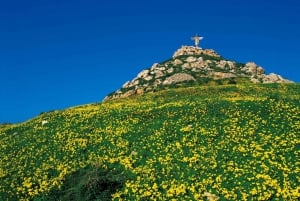 Fra Sliema eller Bugibba: Gozo Heritage Day Pass