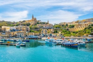 Pienryhmä: Gozon saarikierros Vallettasta