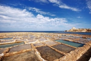 Pienryhmä: Gozon saarikierros Vallettasta