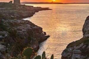 Gozo: Mġarr ix-Xini Beach with private boat