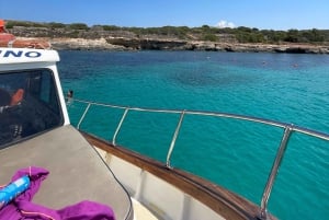 غوزو: جولة بالقارب الخاص إلى كومينو مع توقف للسباحة