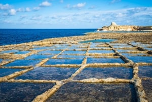 Gozo: Private Insel-Tagestour