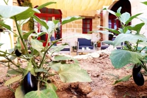 Gozo : Petit-déjeuner traditionnel et local dans un bâtiment historique