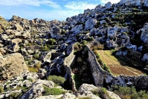 Gozo Unveiled: Guided Hiking Tour with Bouldering