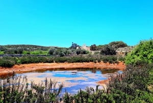 Gozo Unveiled: Guided Hiking in Comino Island