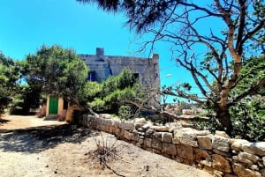 Gozo Unveiled: Guided Hiking in Comino Island