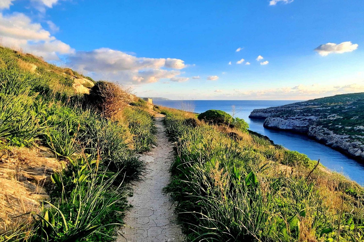 Gozo Unveiled: Guided Hiking Tour at the South East of Gozo