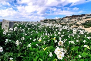 Gozo Unveiled: Guided Hiking in Gozo - The West