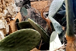 رحلة غوزو المكشوفة: جولة مشي بصحبة مرشد في غوزو - تسلق الصخور