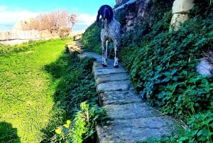 رحلة غوزو المكشوفة: جولة مشي بصحبة مرشد في غوزو - تسلق الصخور