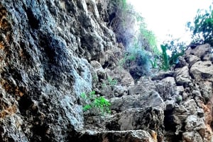 رحلة غوزو المكشوفة: جولة مشي بصحبة مرشد في غوزو - تسلق الصخور