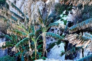 رحلة غوزو المكشوفة: جولة مشي بصحبة مرشد في غوزو - تسلق الصخور