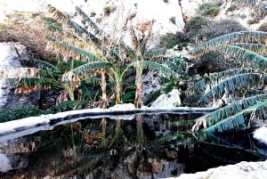 رحلة غوزو المكشوفة: جولة مشي بصحبة مرشد في غوزو - تسلق الصخور