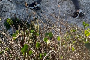 رحلة غوزو المكشوفة: جولة مشي بصحبة مرشد في غوزو - تسلق الصخور