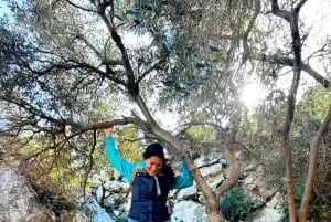 رحلة غوزو المكشوفة: جولة مشي بصحبة مرشد في غوزو - تسلق الصخور