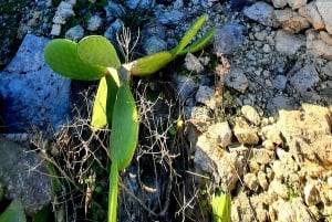 رحلة غوزو المكشوفة: جولة مشي بصحبة مرشد في غوزو - تسلق الصخور