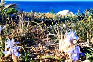 Gozo Unveiled Hiking: A Guided Hike tour in Gozo- North East