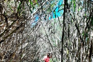 Gozo Unveiled Hiking: Opastettu vaelluskierros Gozossa – Kaakkois-Gozo