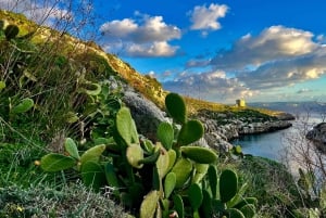 Gozo Unveiled Hiking: Opastettu vaelluskierros Gozossa – Kaakkois-Gozo
