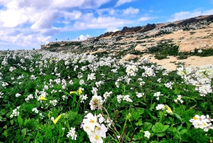 Gozo Unveiled Hiking: un tour guidato di escursioni a Gozo - La parte occidentale