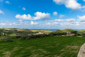 St. Paul's Bay: Gozo, Comino & St. Paul's Bus & Boat Tour