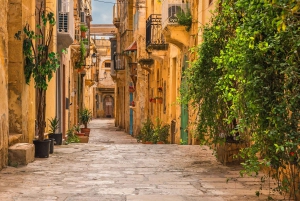 Guided Walking Tour of Valletta with Licenced Guide