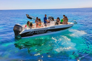 Halve dag - 4 uur Comino, Blue Lagoon maximaal 12 gasten