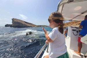 Halve dag - 4 uur Comino, Blue Lagoon maximaal 12 gasten