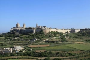 Halbtagestour private Tour rund um die Insel Malta
