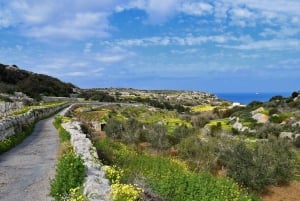 Malta: Half-Day Quad Bike Adventure Tour Including Transfers