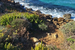 隠れたマルタ：海岸の絶景から静かな街まで