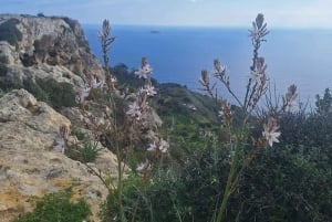 隠れたマルタ：海岸の絶景から静かな街まで