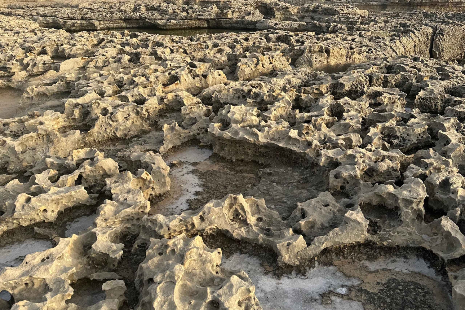 مسارات غوزو الخفية: جولة مشي طويلة خلابة ونزهة ساحلية