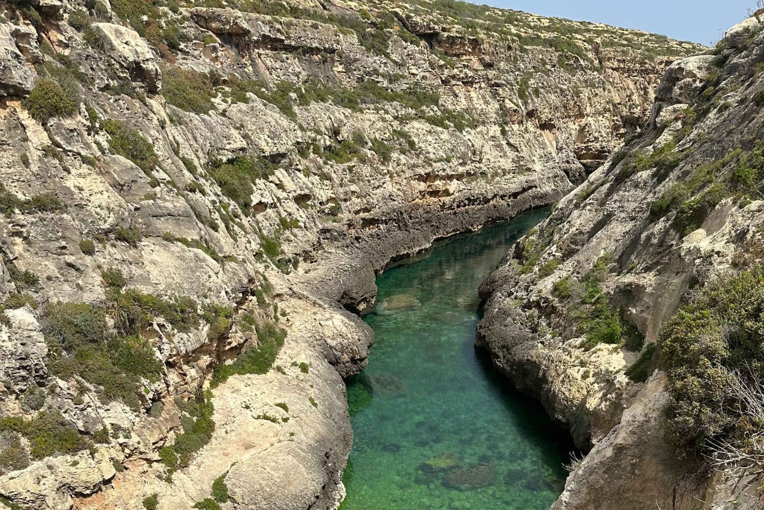 مسارات غوزو الخفية: جولة مشي طويلة خلابة ونزهة ساحلية