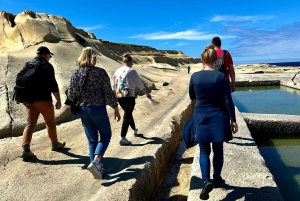 Gozon piilotetut polut: luonnonkaunis vaellus ja rannikkopiknik