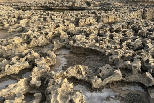 مسارات غوزو الخفية: جولة مشي طويلة خلابة ونزهة ساحلية