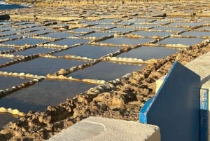 مسارات غوزو الخفية: جولة مشي طويلة خلابة ونزهة ساحلية