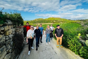 مسارات غوزو الخفية: جولة مشي طويلة خلابة ونزهة ساحلية