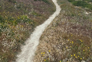 مسارات غوزو الخفية: جولة مشي طويلة خلابة ونزهة ساحلية