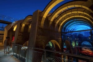 حافلة هوب-أون-هوب-أوف مالطا (مسارات الشمال والجنوب - CMO)