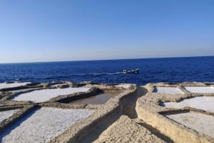 Eiland Gozo: Privétour