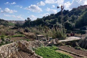 Остров Гозо: индивидуальный тур