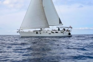 Kanpai privat charter: Udforsk Malta, Comino, Gozo