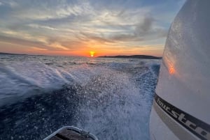 Malta: Privat speedbådskrydstogt med svømmestop