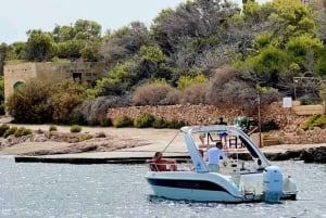 Malta: Privat speedbådskrydstogt med svømmestop