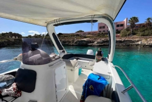 Malte : Croisière privée en bateau rapide avec arrêts baignade