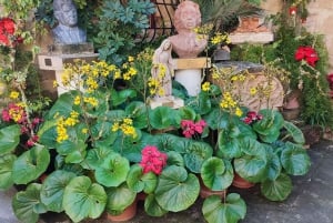Mosta: City Highlights Tour with Buffet Lunch