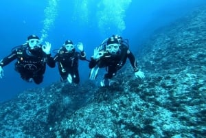 Malta: 2 Guided Dives for Certified Divers with Diving Gear