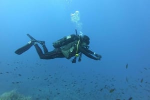 Malta: 2 Scuba Fun Dives for Certified divers